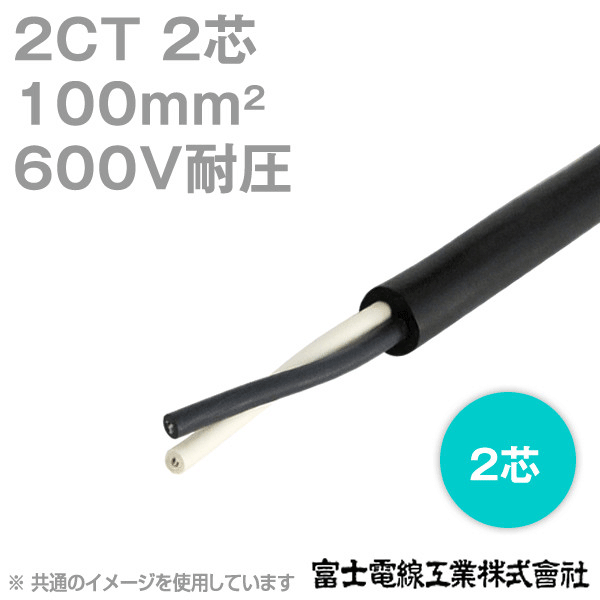 2CT 100sq 2芯 600V耐圧 2種ゴムキャブタイヤケーブル (1mから切り売り) CG