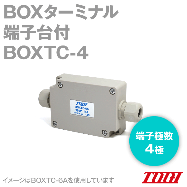 TOGI BOXTC-6A 250V 15A 