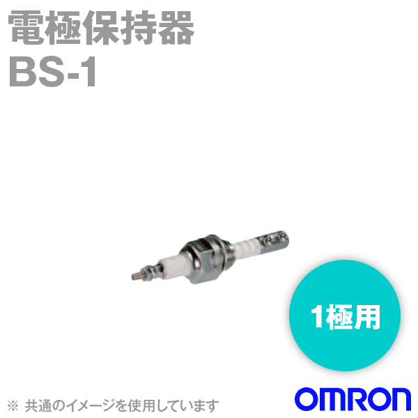 BS-1電極保持器1極用250℃ 1.96MPa