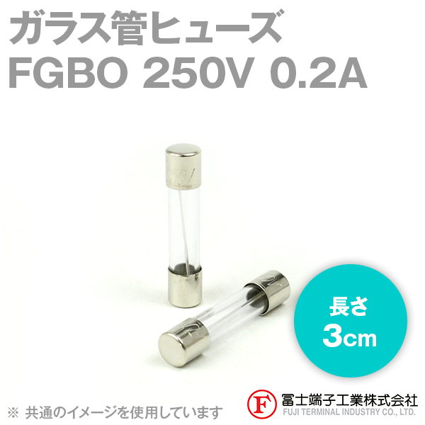 FGBOガラス管ヒューズ 1個 (定格: AC250V 0.2A) (長さ: 3cm) NN