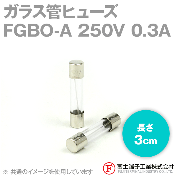 FGBO-Aガラス管ヒューズ 1個 (定格: AC250V 0.3A) (長さ: 3cm) NN