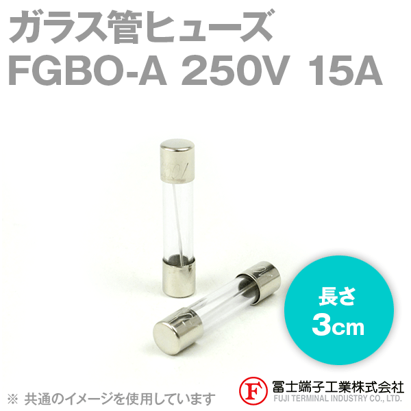 FGBO-Aガラス管ヒューズ 1個 (定格: AC250V 15A) (長さ: 3cm) NN