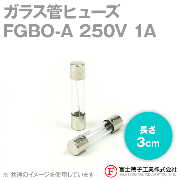 FGBO-Aガラス管ヒューズ 1個 (定格: AC250V 1A) (長さ: 3cm) NN