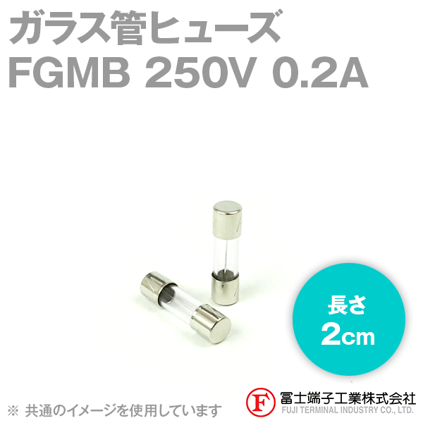 FGMBガラス管ヒューズ 1個 (定格: AC250V 0.2A) (長さ: 2cm) NN