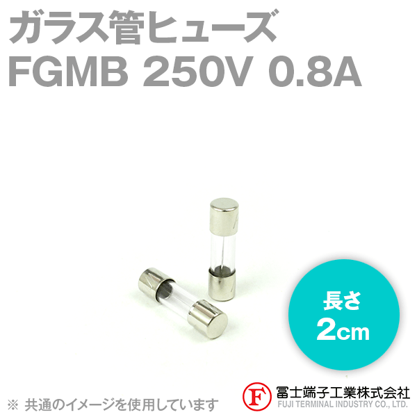 FGMBガラス管ヒューズ 1個 (定格: AC250V 0.8A) (長さ: 2cm) NN