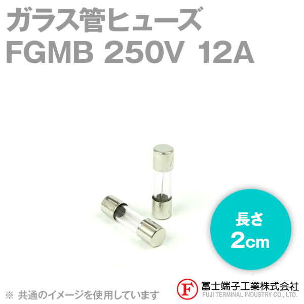 FGMBガラス管ヒューズ 1個 (定格: AC250V 12A) (長さ: 2cm) NN