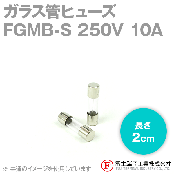 FGMB-Sガラス管ヒューズ 1個 (定格: AC250V 10A) (長さ: 2cm) NN