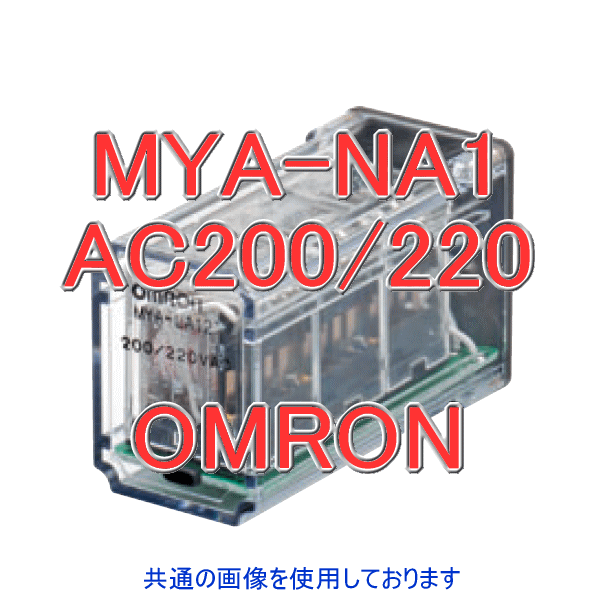 MYA-NA1有接点アナンシェータ NN