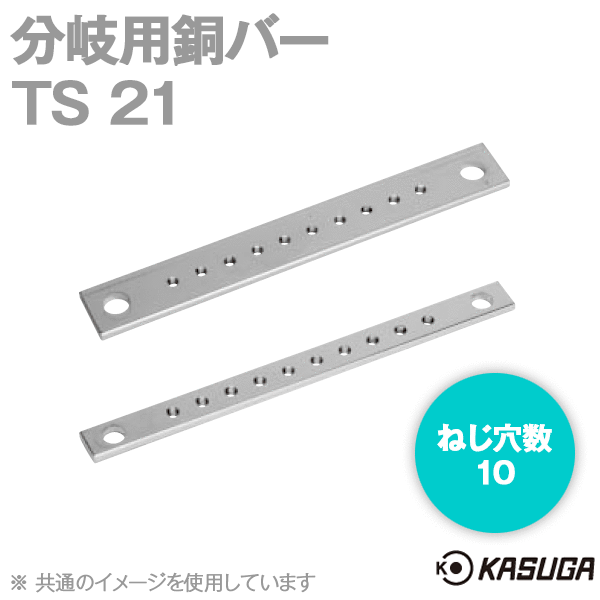 TS 21分岐用銅バーTS200R用(10本入) SN