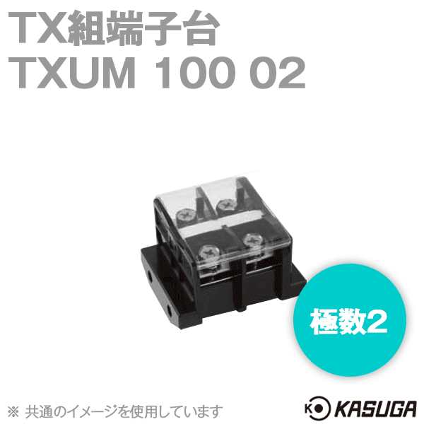 TXUM100 02 TX組端子台(ジャンプアップ) (38mm2) (130A) (極数2) SN